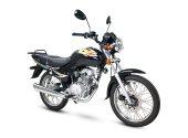 2013 Giantco Archer 125 photo